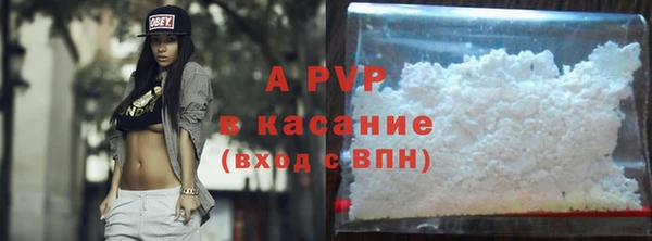 сатива Горняк