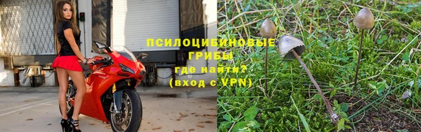 сатива Горняк