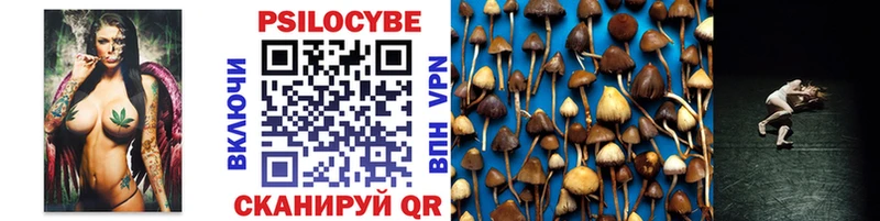 наркошоп  Курган  MEGA маркетплейс  Галлюциногенные грибы Psilocybe 